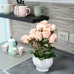 New In! Rose A Santa Lucia *