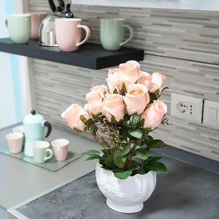 New In! Rose A Santa Lucia *